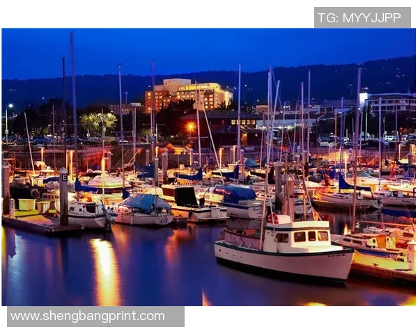 蒙特雷对阵桑托斯比赛延时原因及最新动态分析