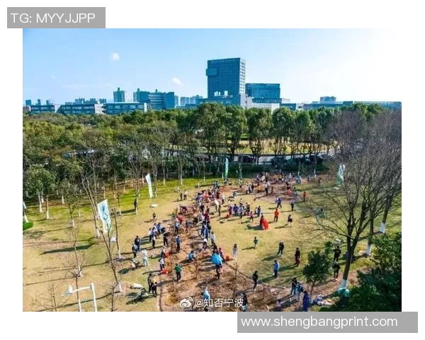 李芳独家分享网球心得与技巧助你提升球技的全面指南