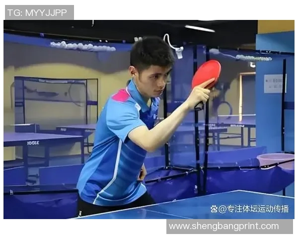 从零开始掌握乒乓球战术技巧全解析助你成为乒乓高手