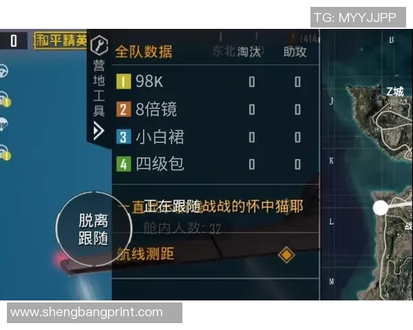 和平精英V5赛季个人能力分析与提升策略探讨